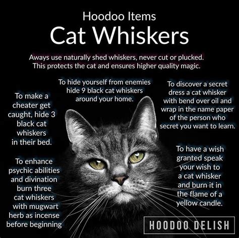Cat whisker magic
